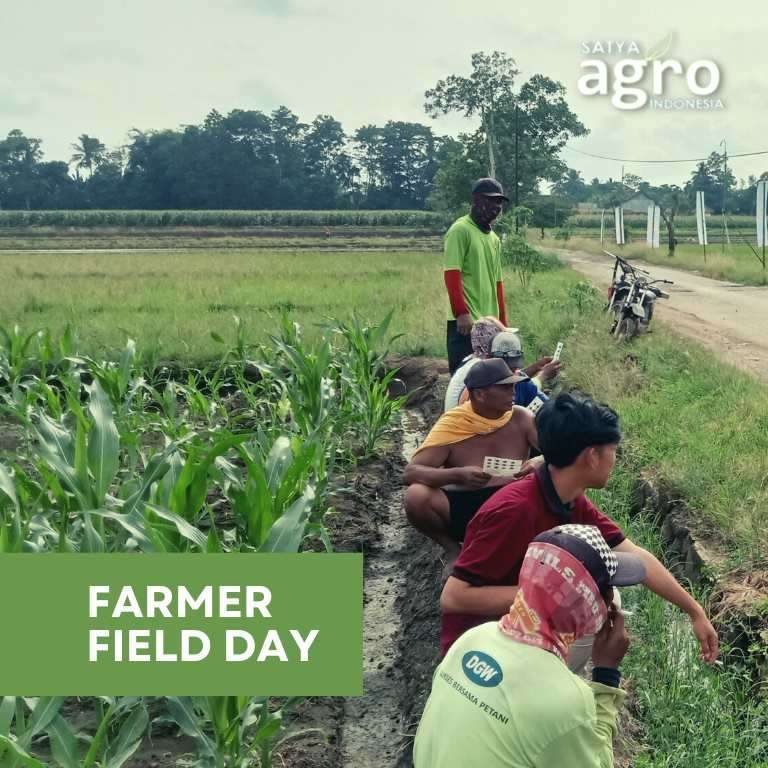 Farmer Field Day